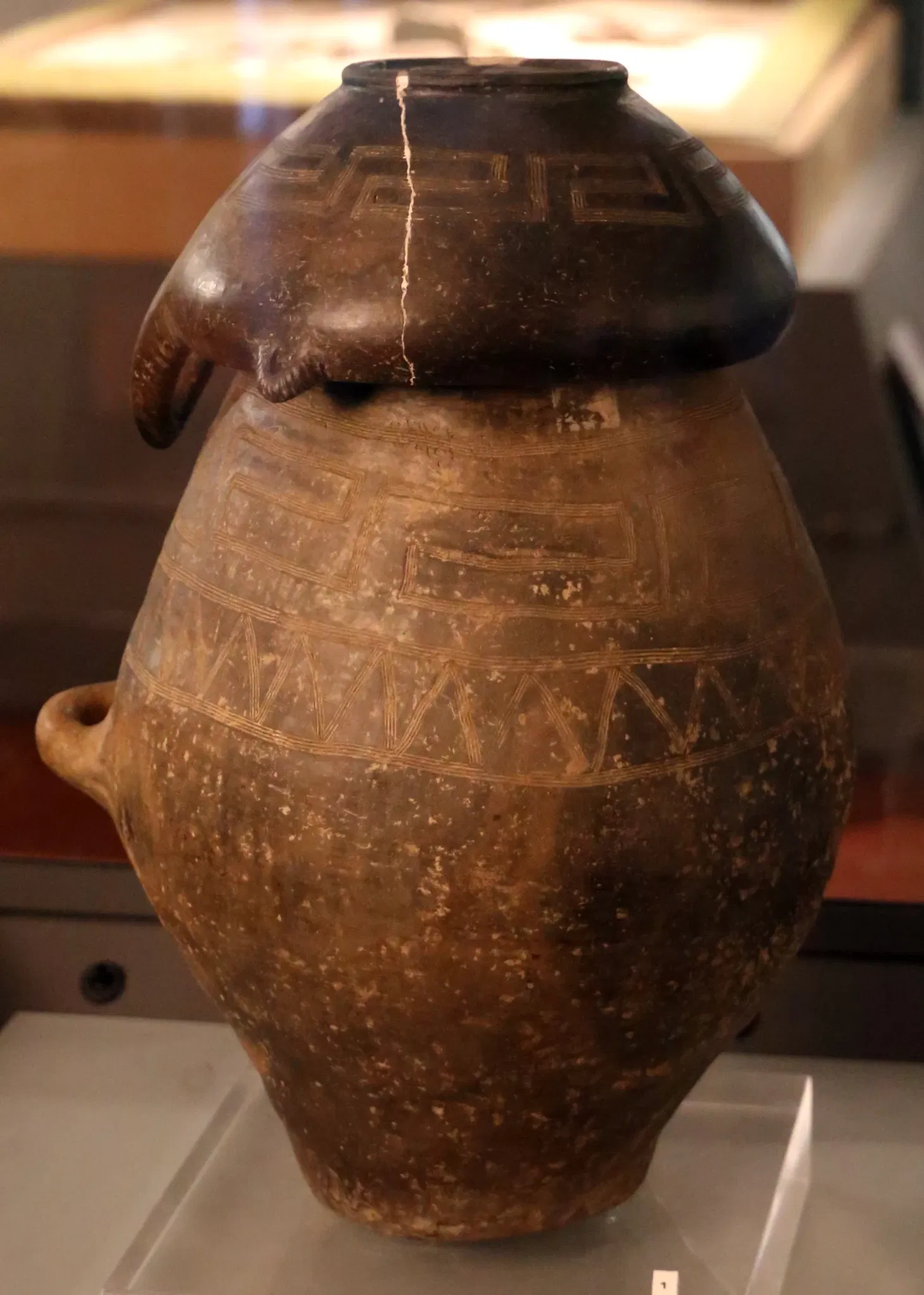 Museo Archeologico Comunale di Cecina