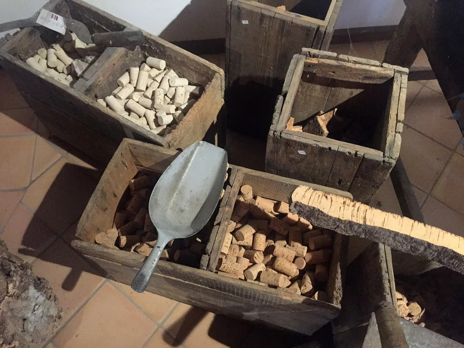 MEOC- Museo Etnografico Oliva Carta Cannas