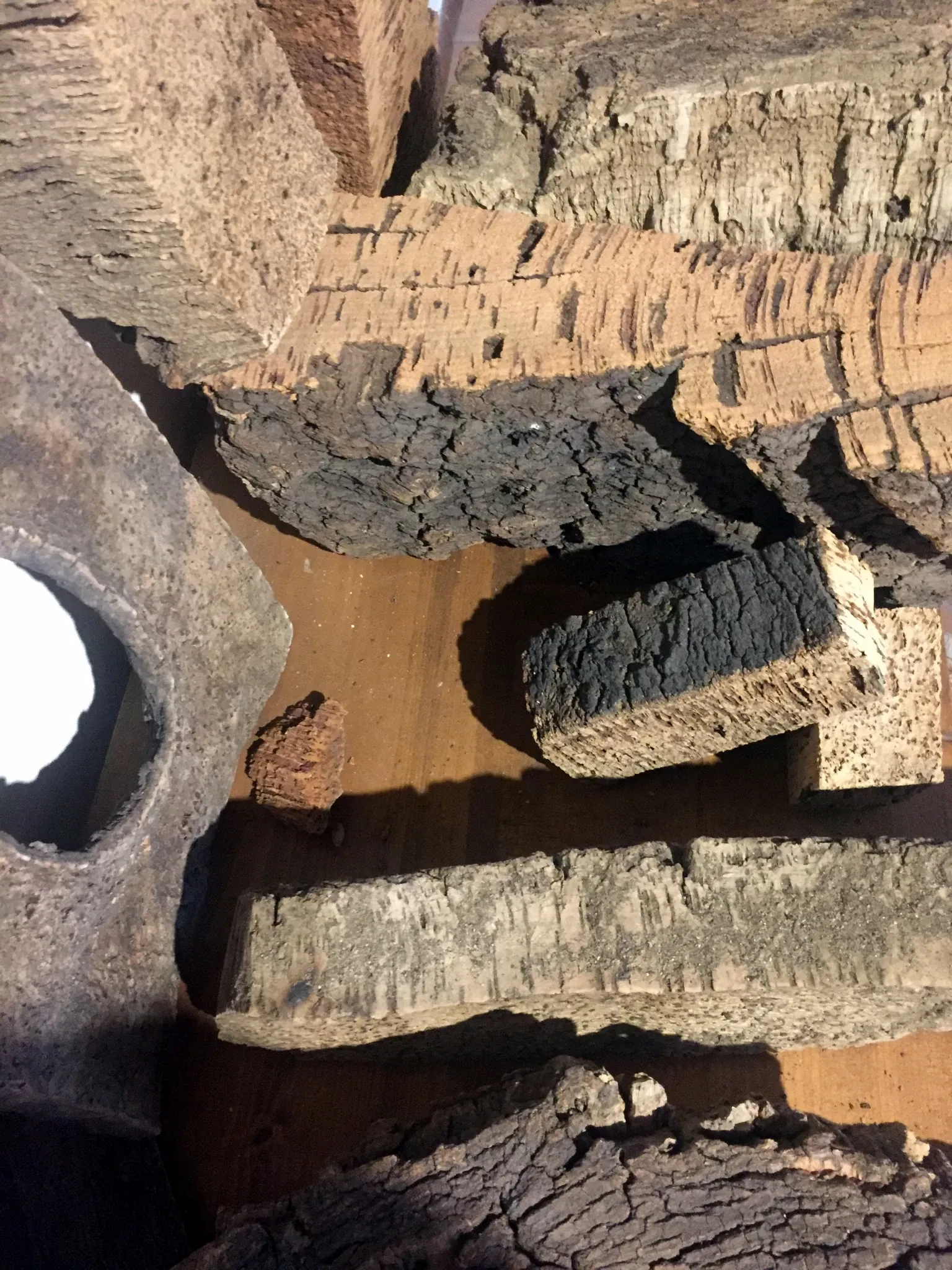 MEOC- Museo Etnografico Oliva Carta Cannas