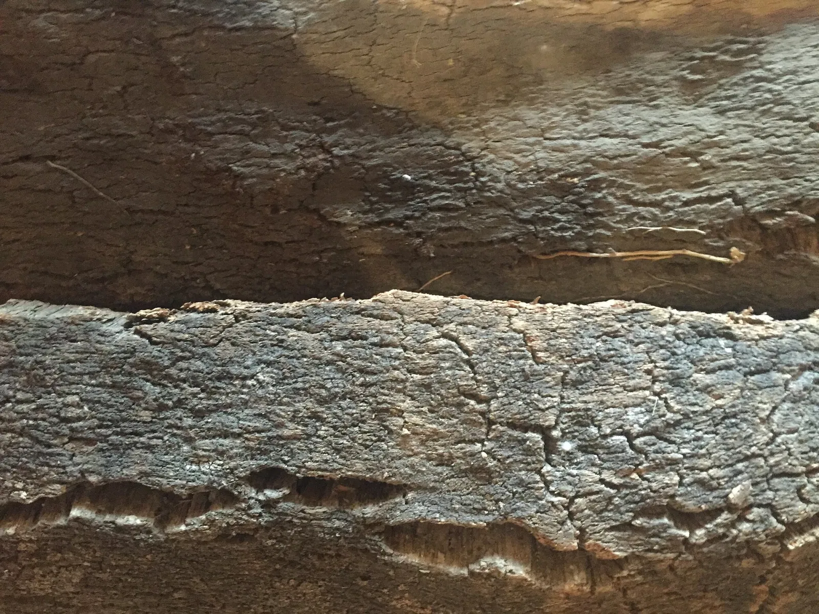 MEOC- Museo Etnografico Oliva Carta Cannas