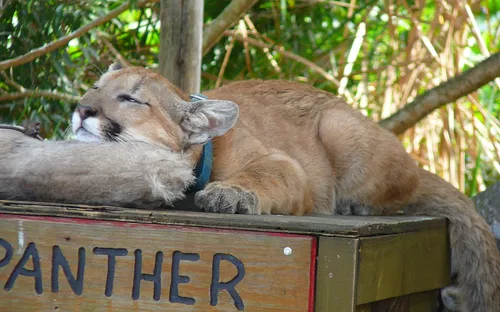 Sawgrass Recreation Park
