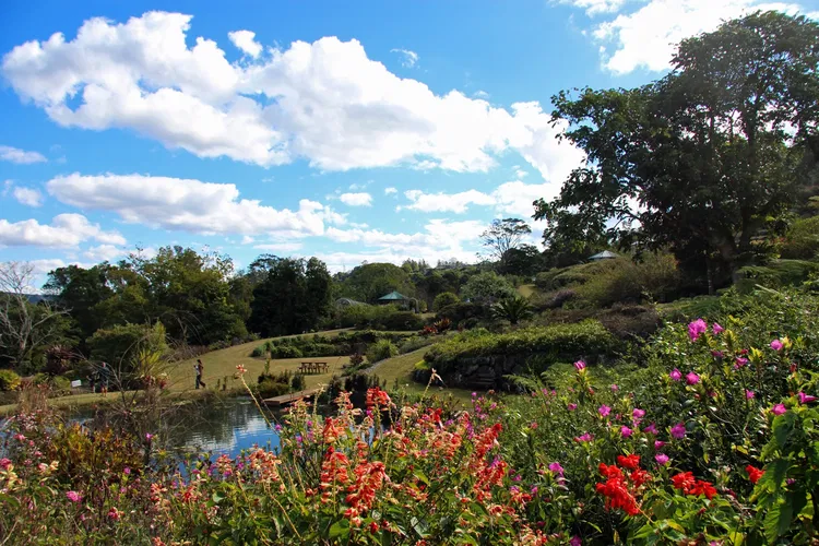 Maleny Botanic Gardens & Bird World