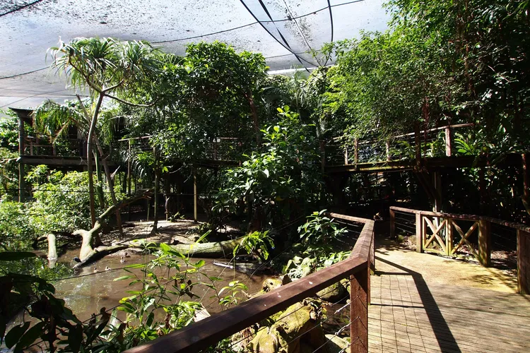 Wildlife Habitat