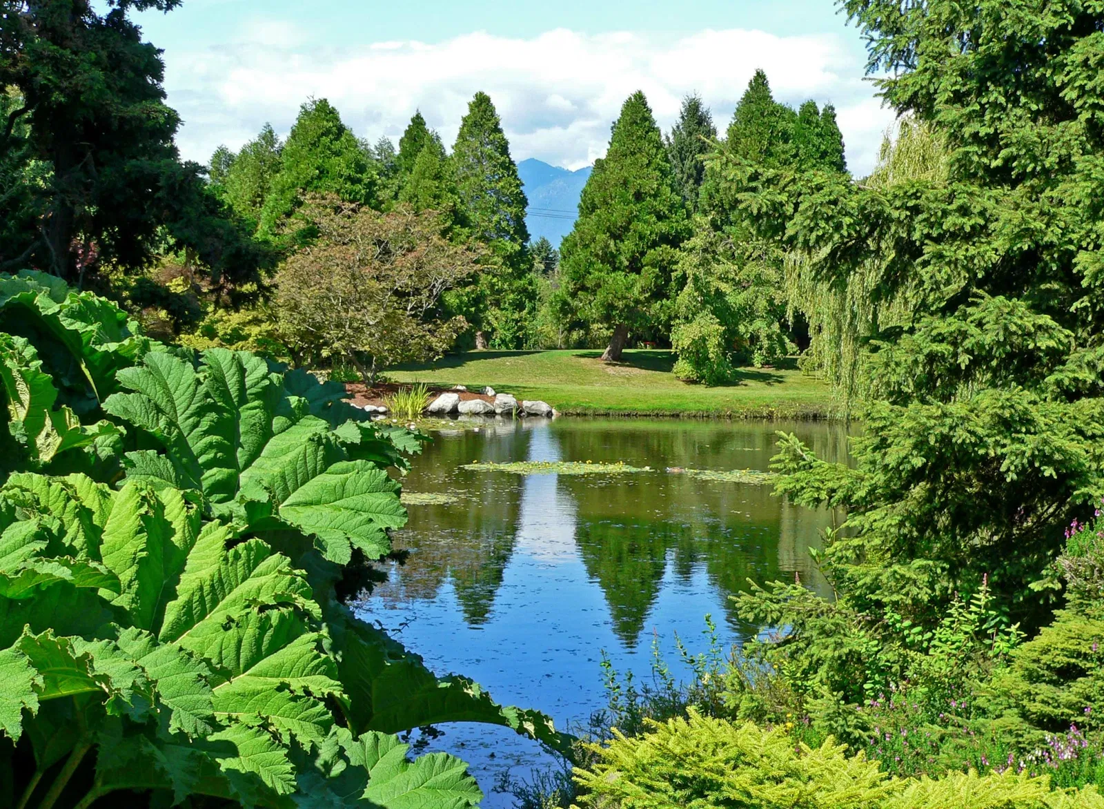 Beelden in de VanDusen Botanical Garden