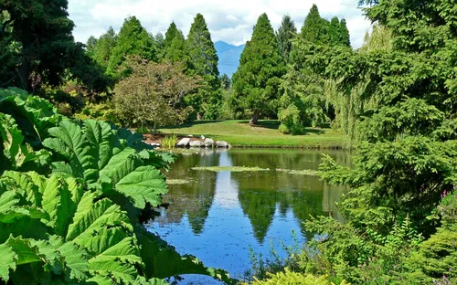 Beelden in de VanDusen Botanical Garden