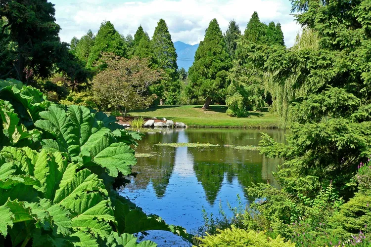 VanDusen Botanical Garden