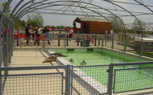 Zeehondencentrum Pieterburen