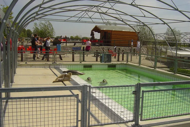 Zeehondencentrum Pieterburen