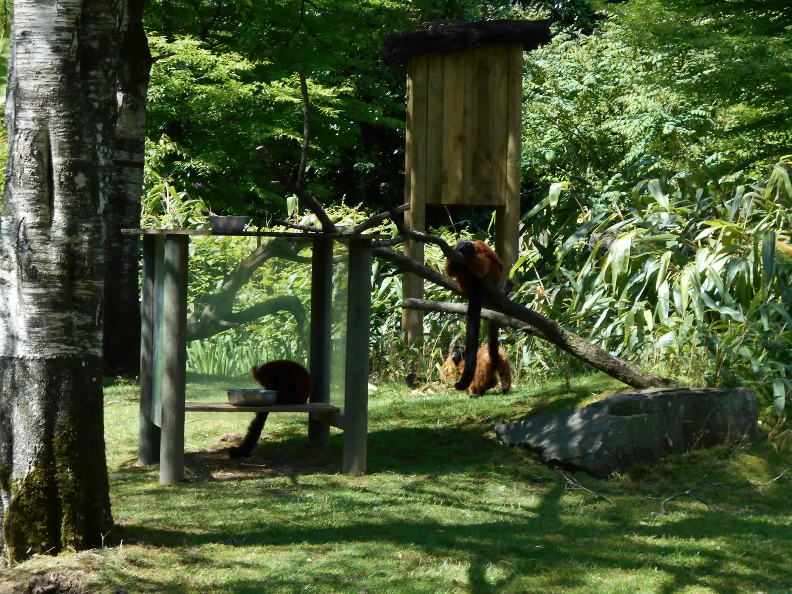 Parc Zoologique de Champrepus