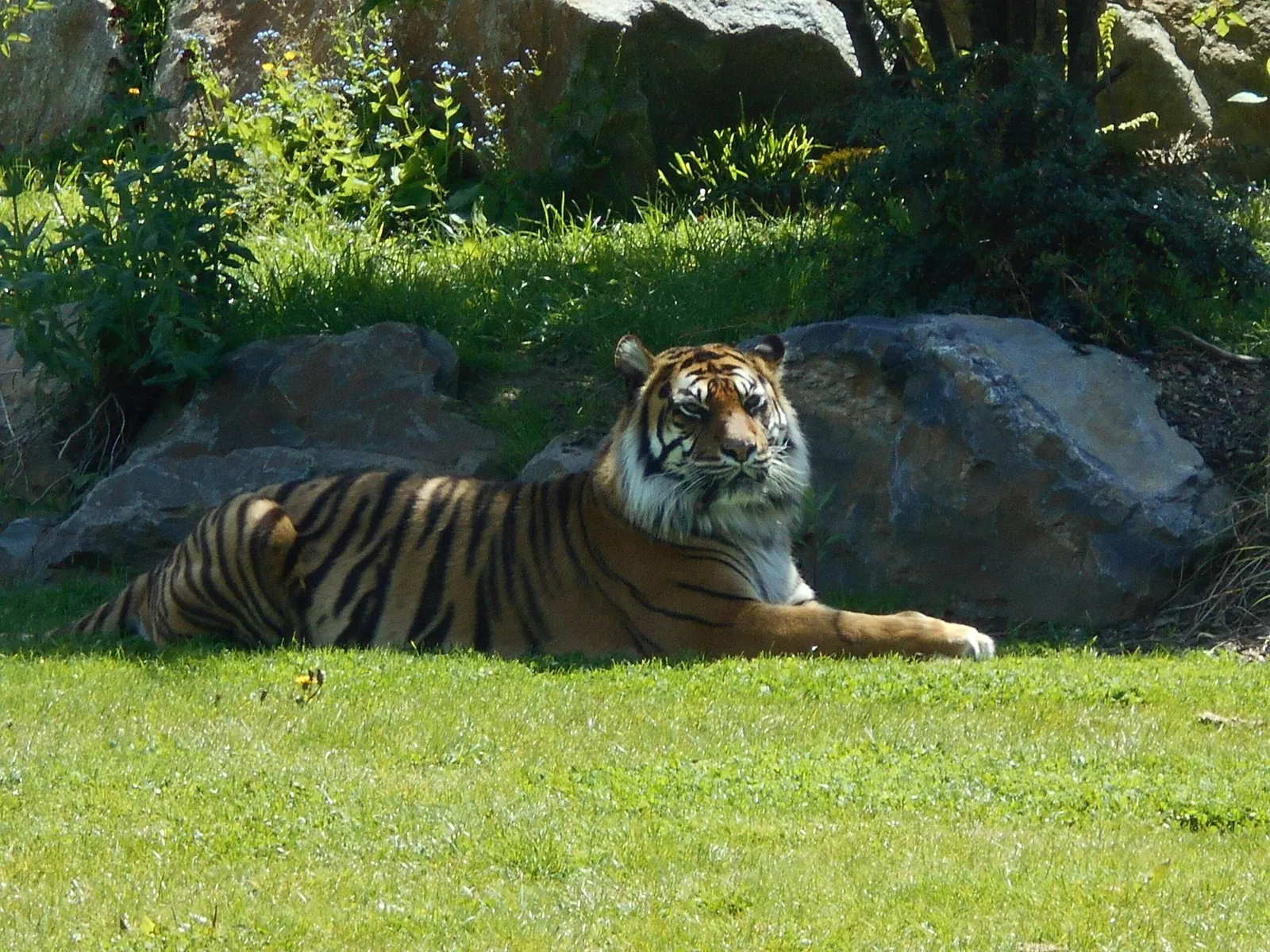 Parc Zoologique de Champrepus