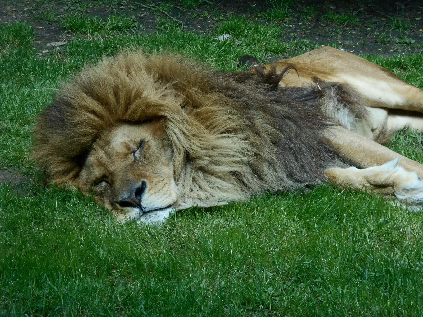 Parc Zoologique de Champrepus
