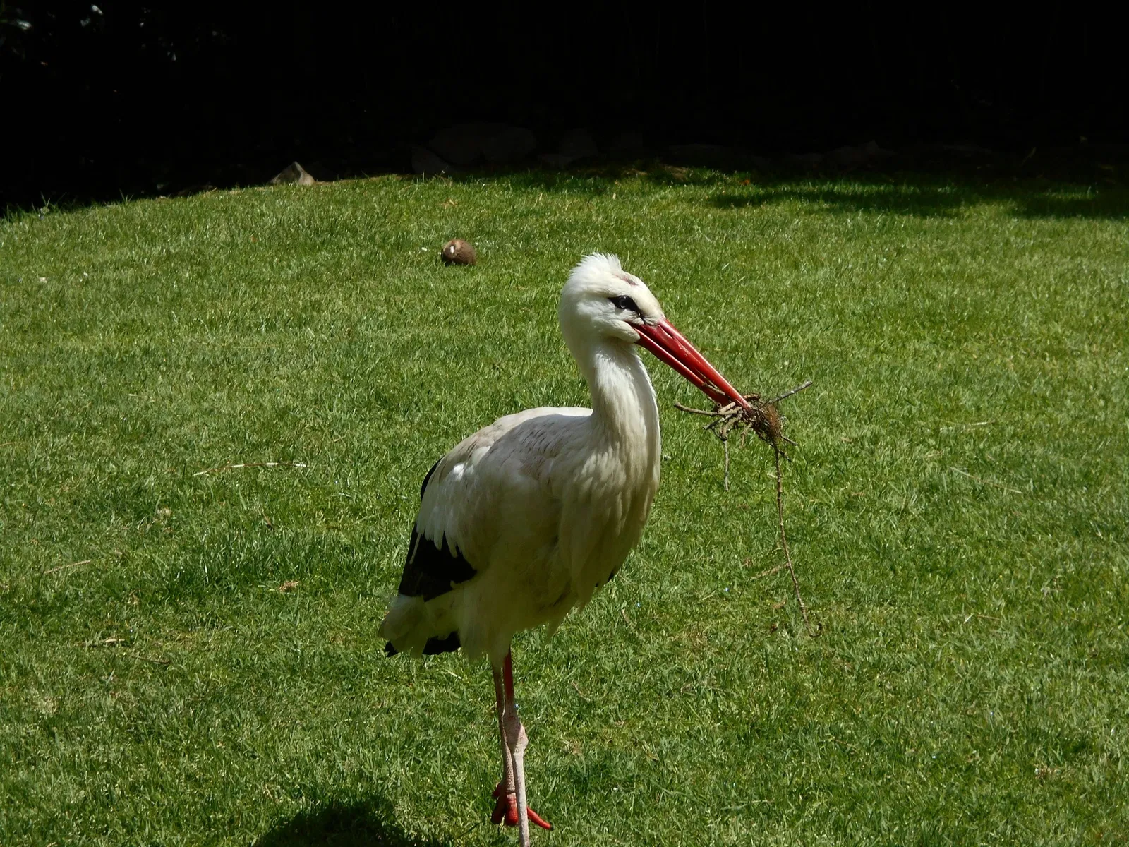 Parc Zoologique de Champrepus