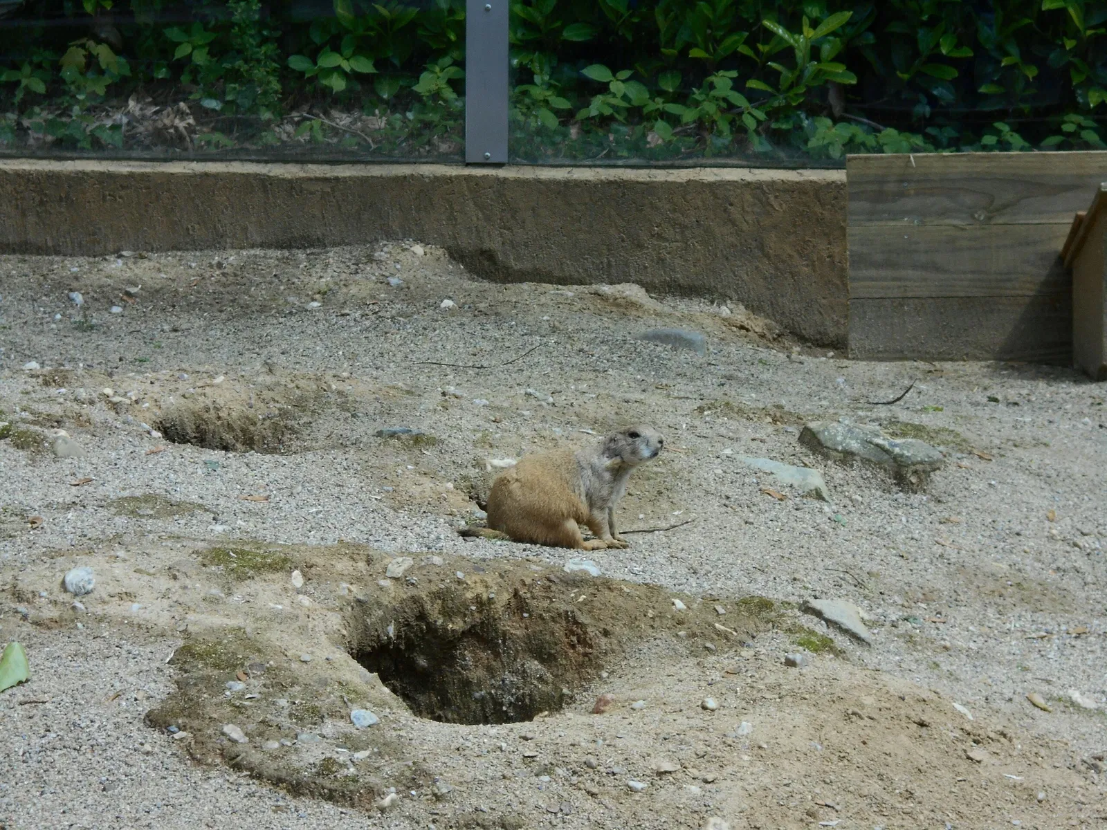 Parc Zoologique de Champrepus