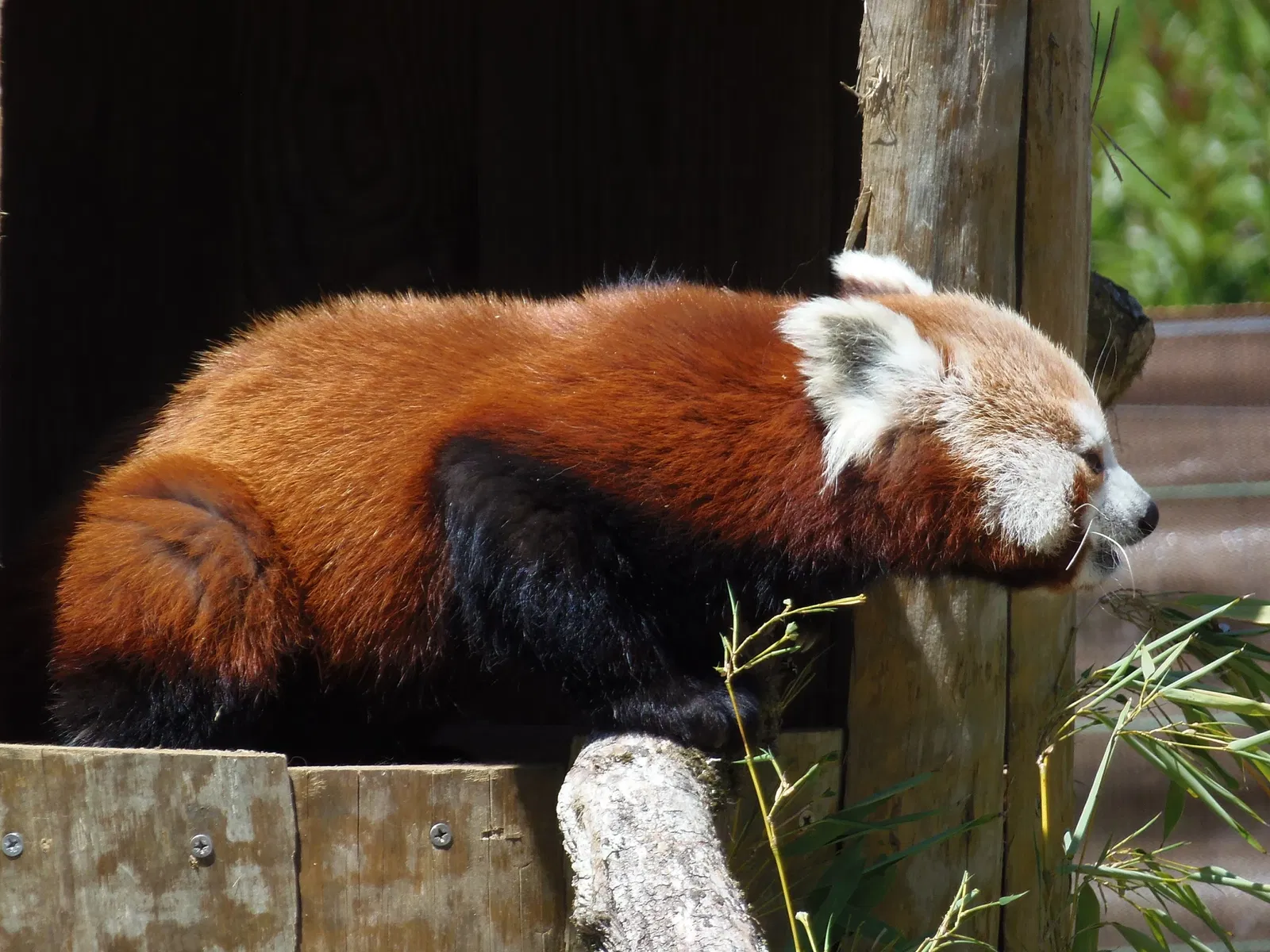Parc Zoologique de Champrepus