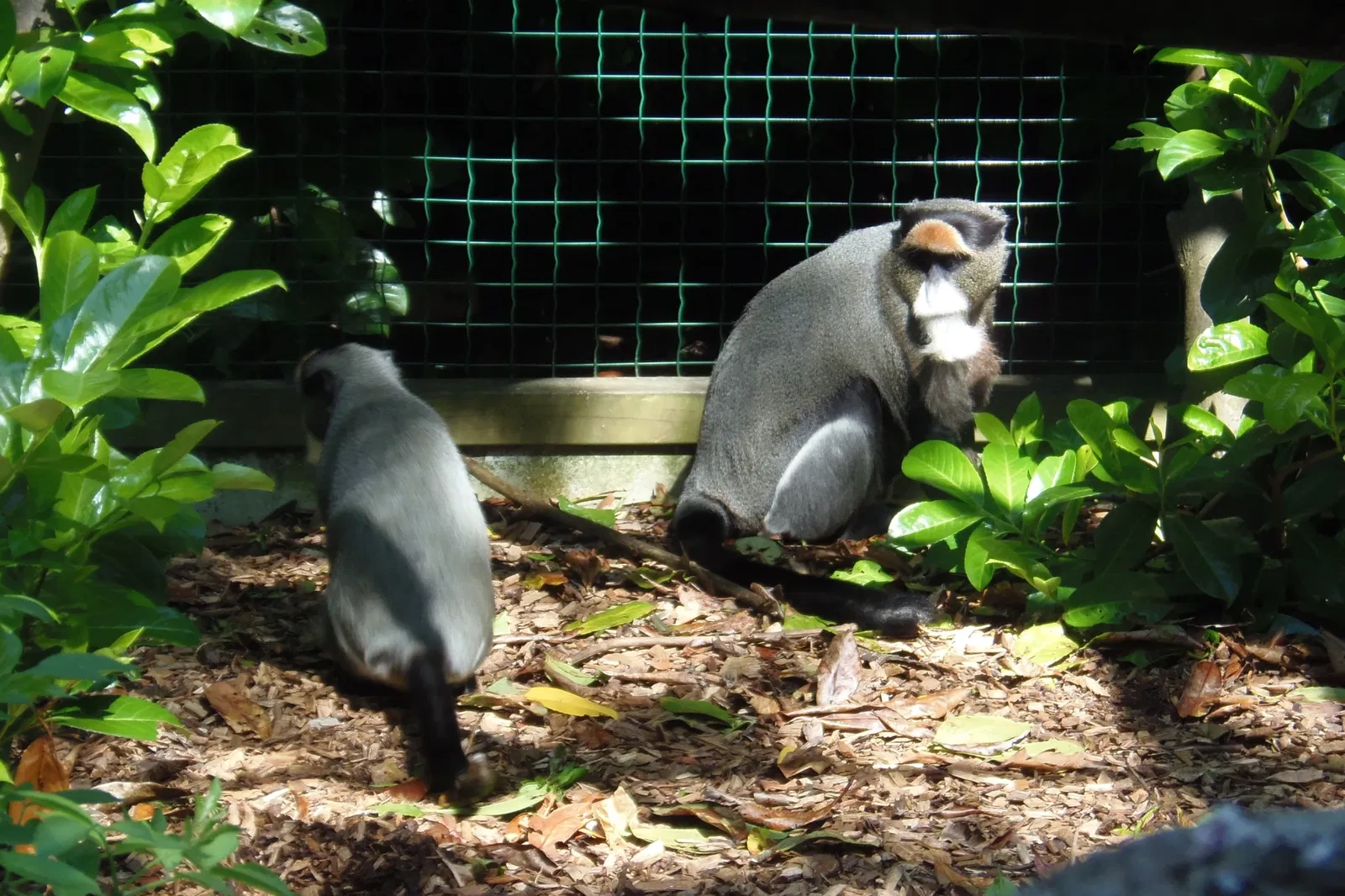 Parc Zoologique de Champrepus