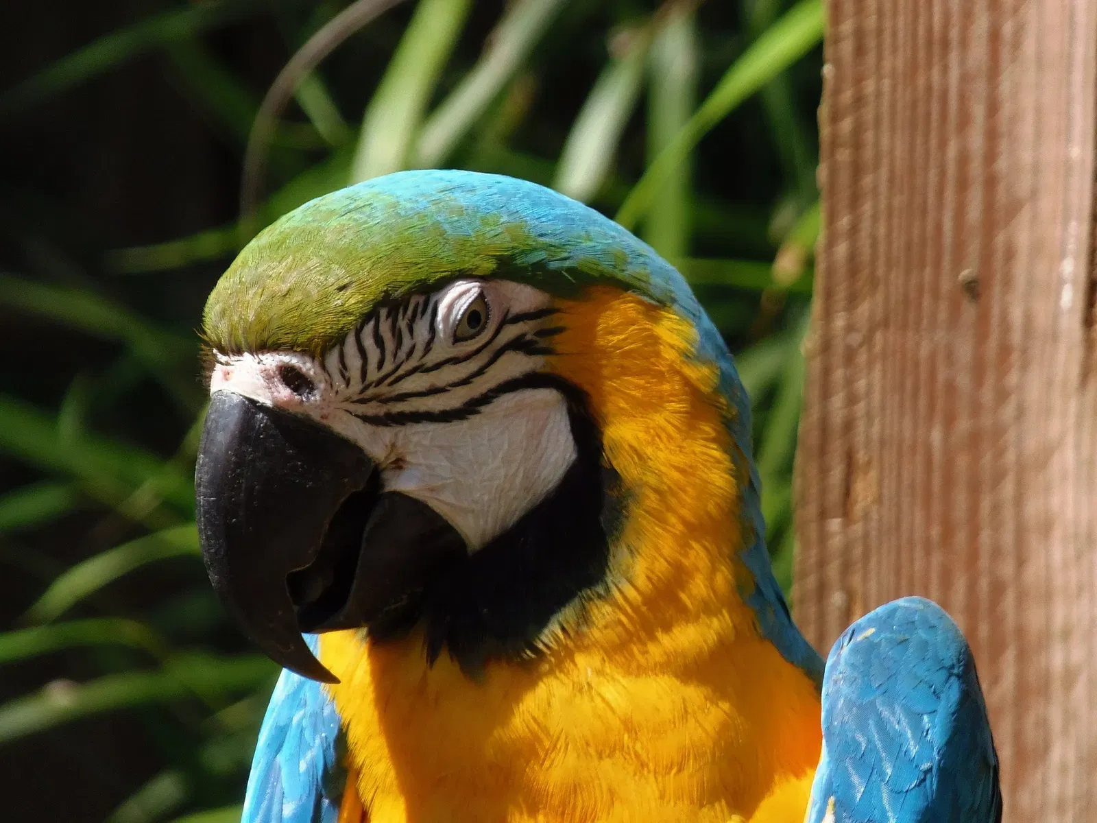 Parc Zoologique de Champrepus