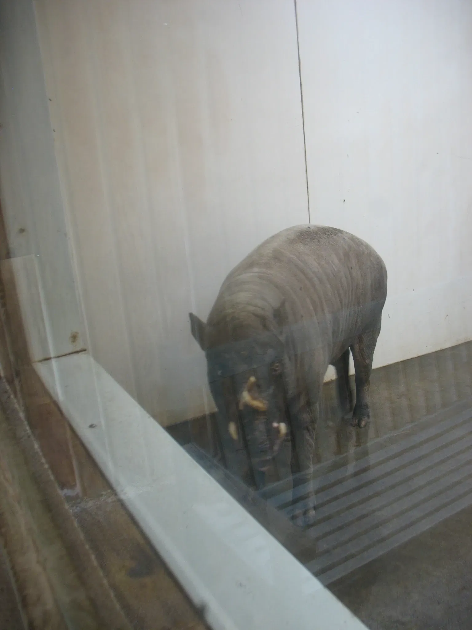 Parc Zoologique de Champrepus