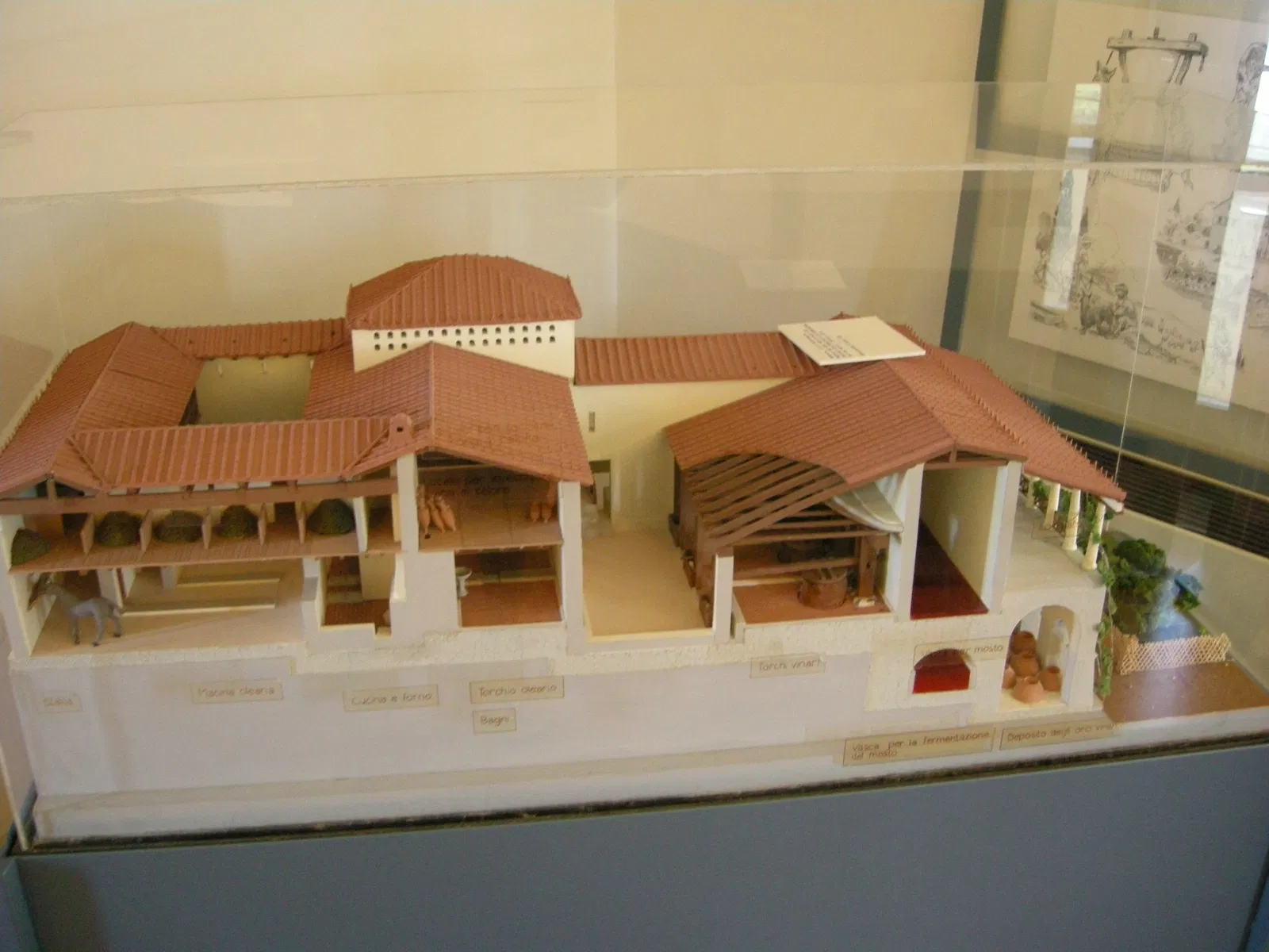 Museo Civico Archeologico Palazzo Bombardieri di Rosignano Marittimo