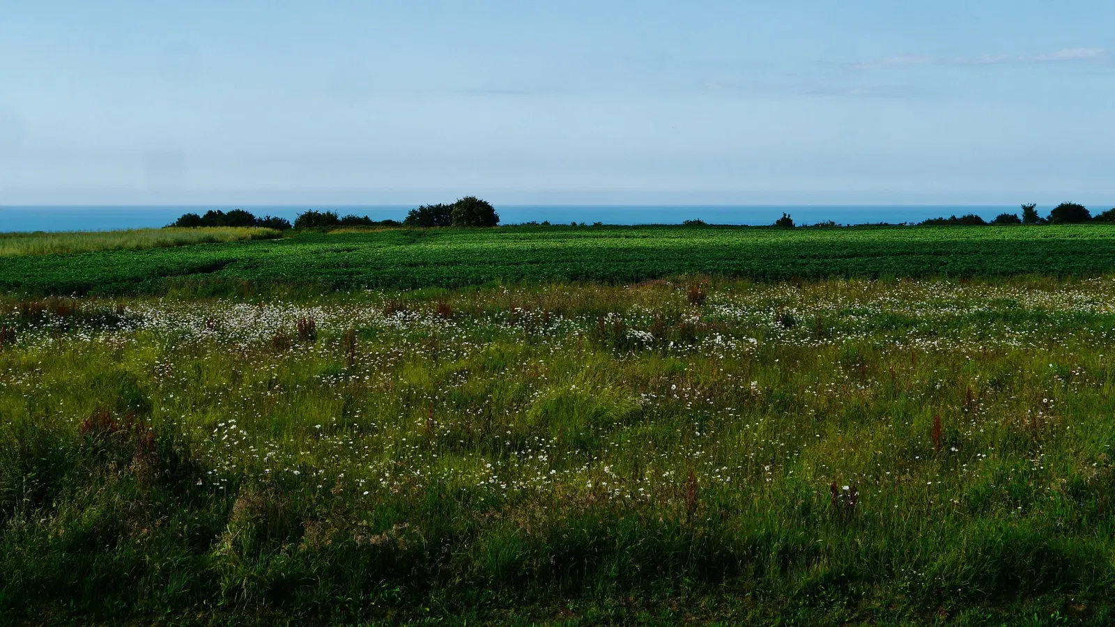 Longues-sur-Mer battery