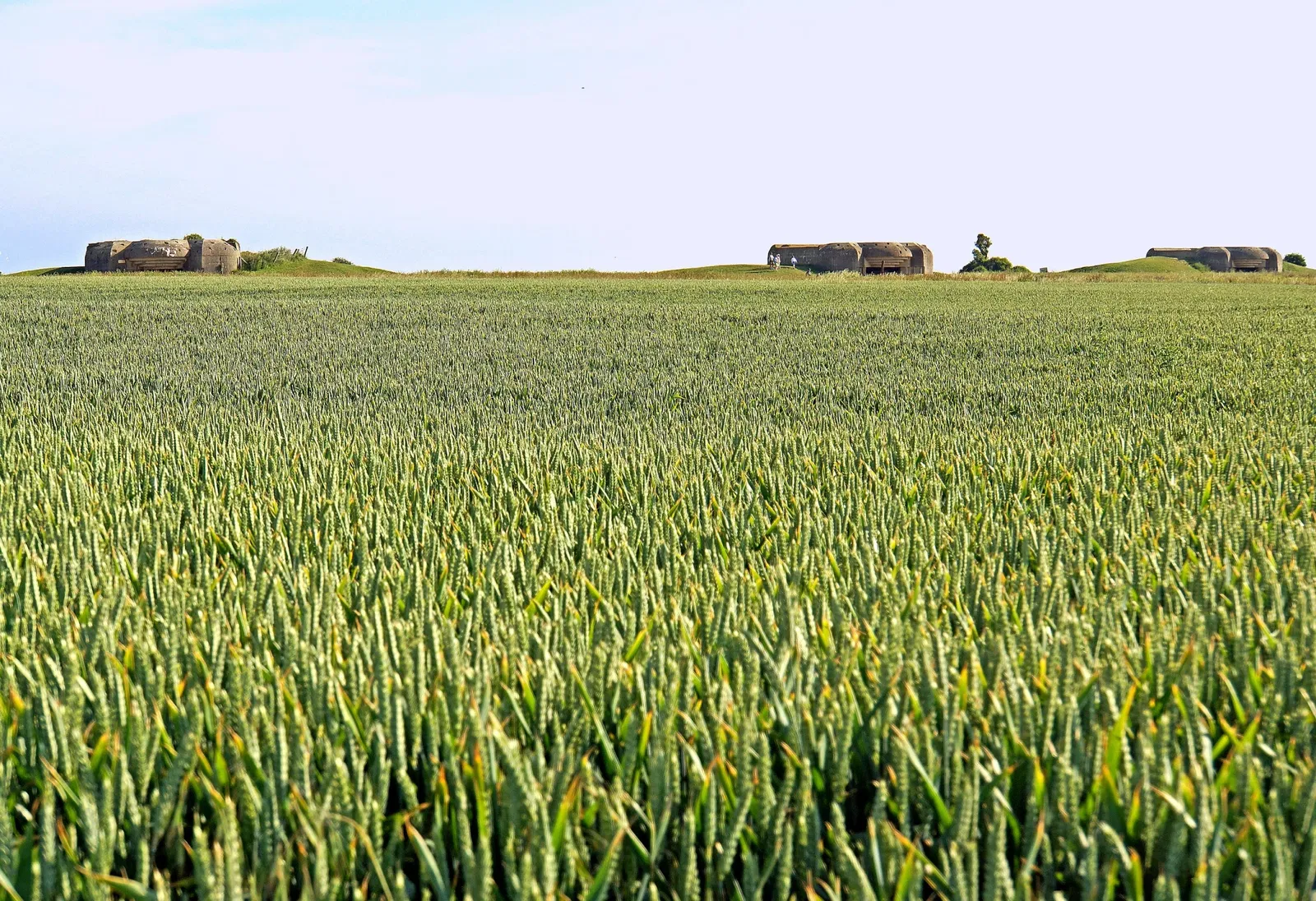 Longues-sur-Mer battery