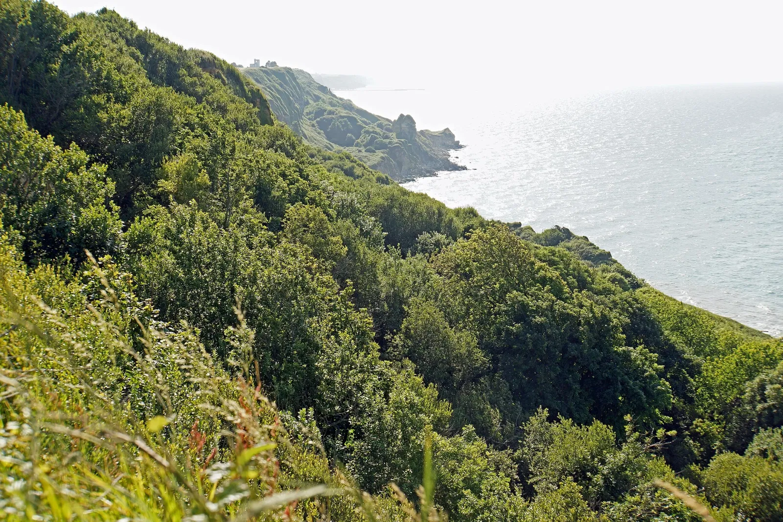 Batterie Allemande de Longues-sur-Mer
