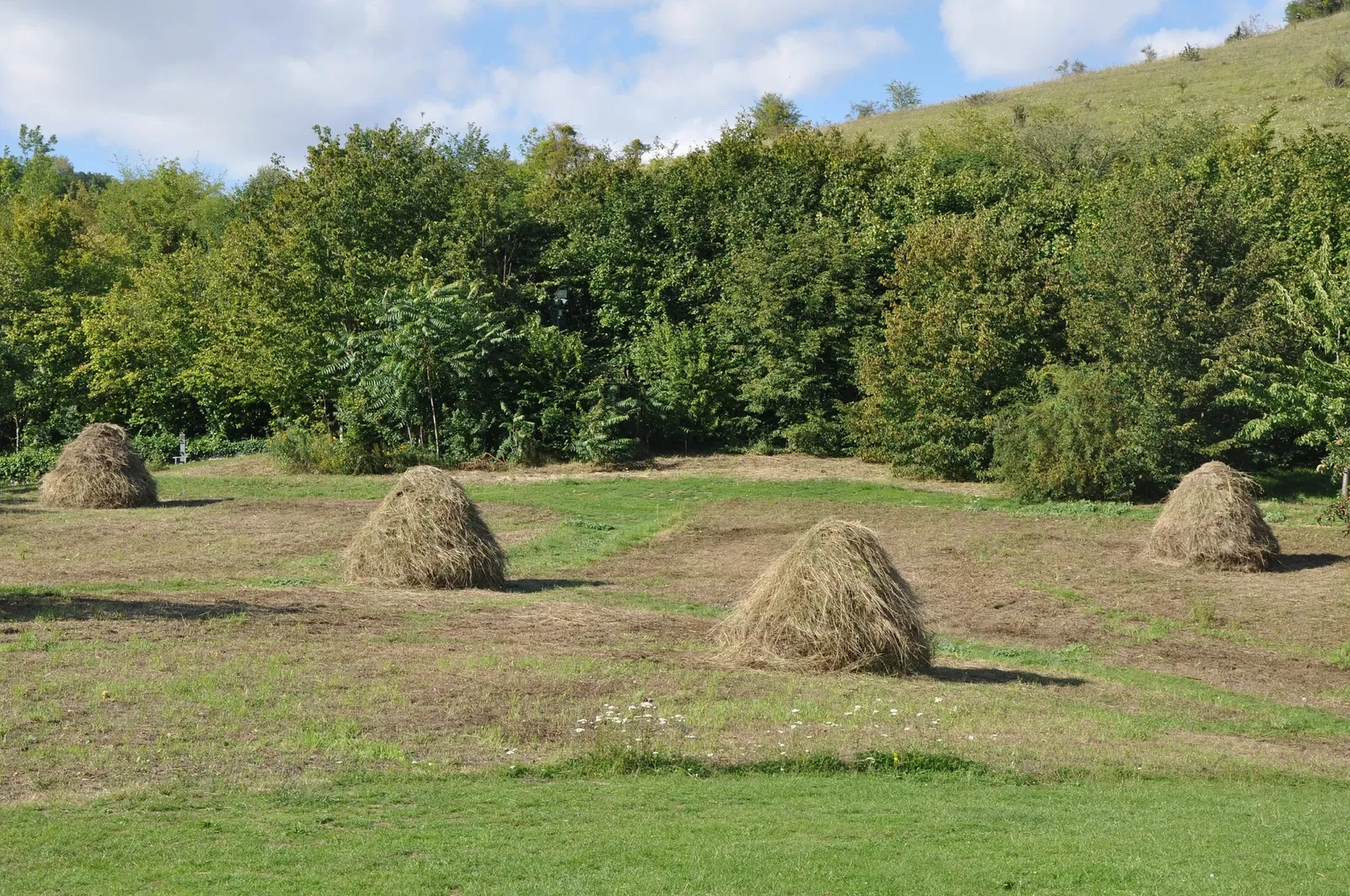 Museum of Impressionism Giverny
