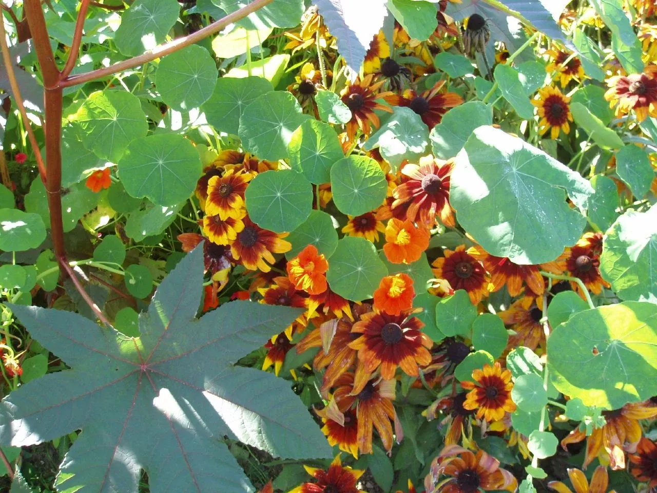 Museum of Impressionism Giverny