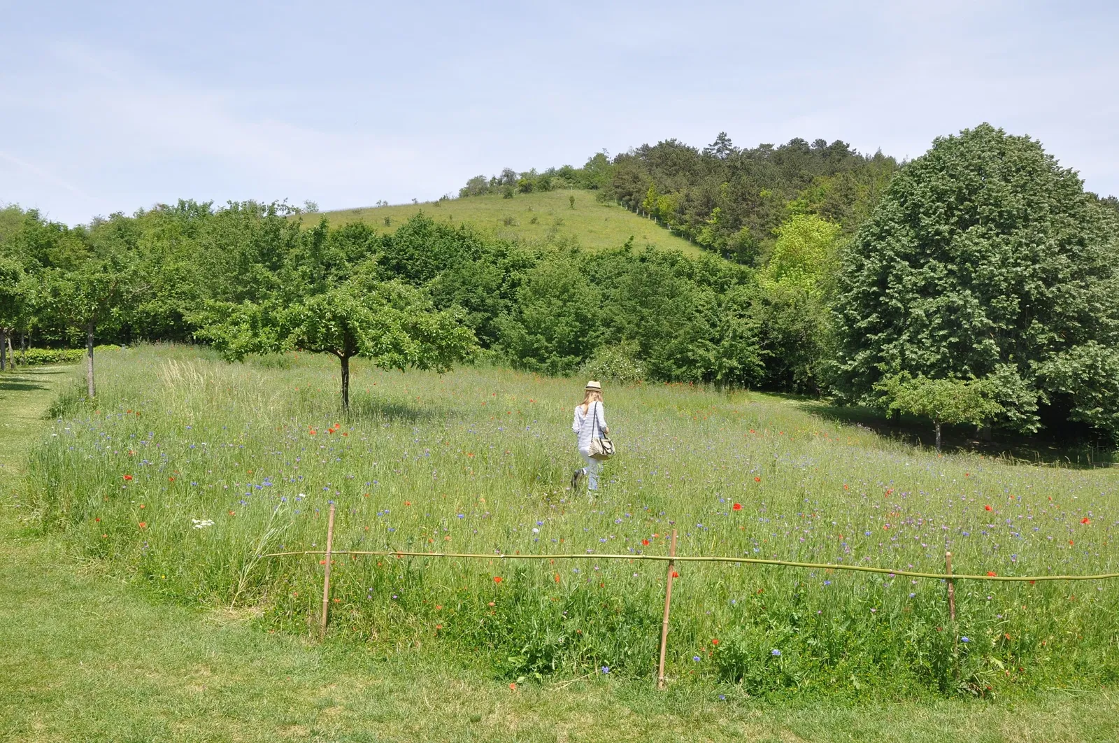Museum of Impressionism Giverny