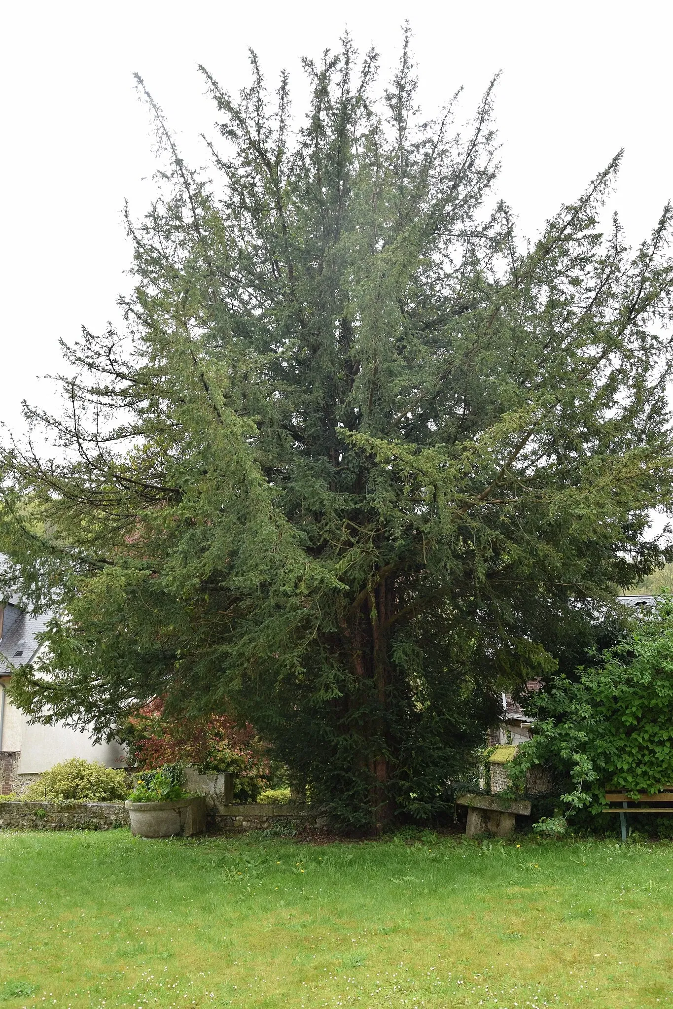 Musée Nicolas Poussin