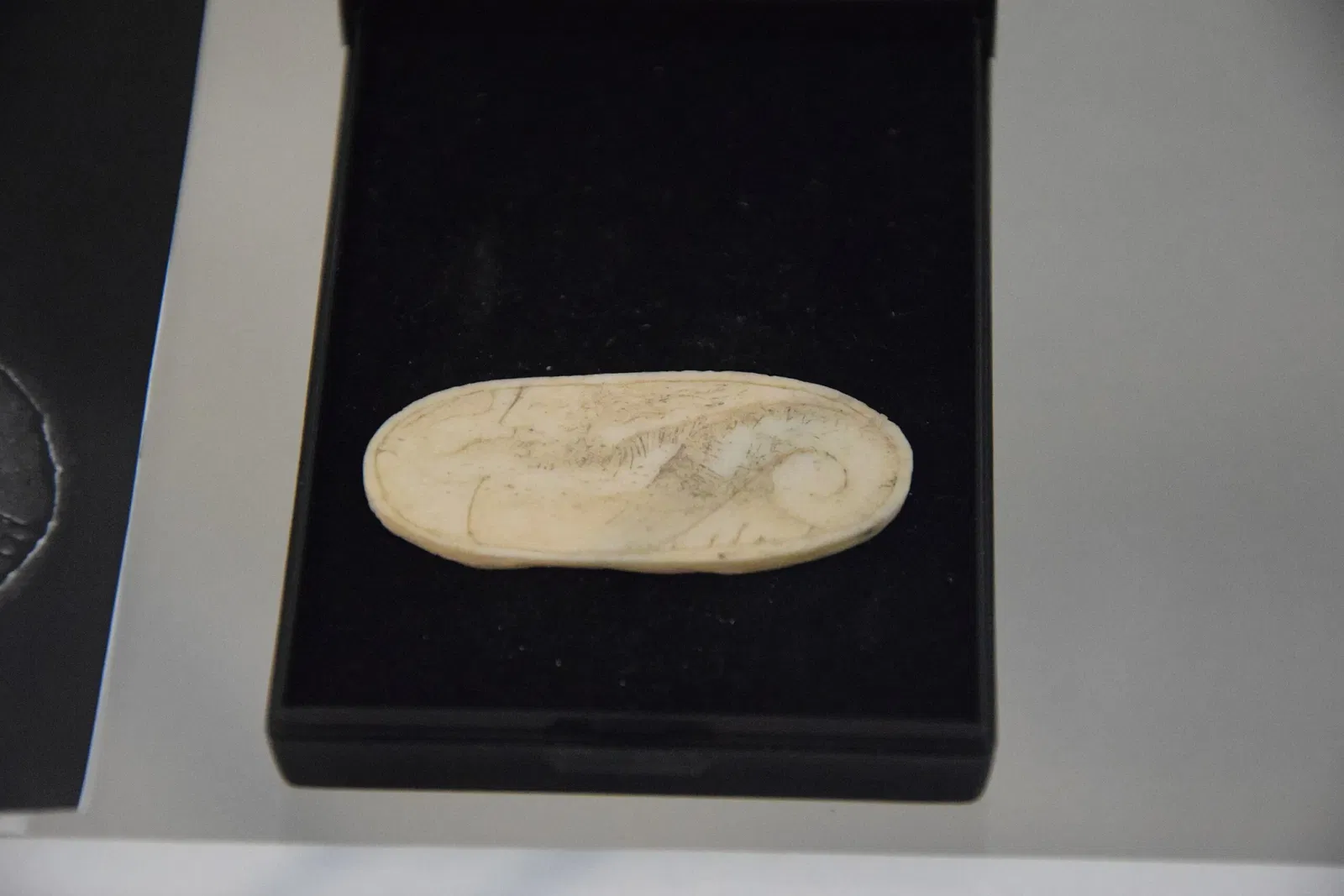 Musée Nicolas Poussin