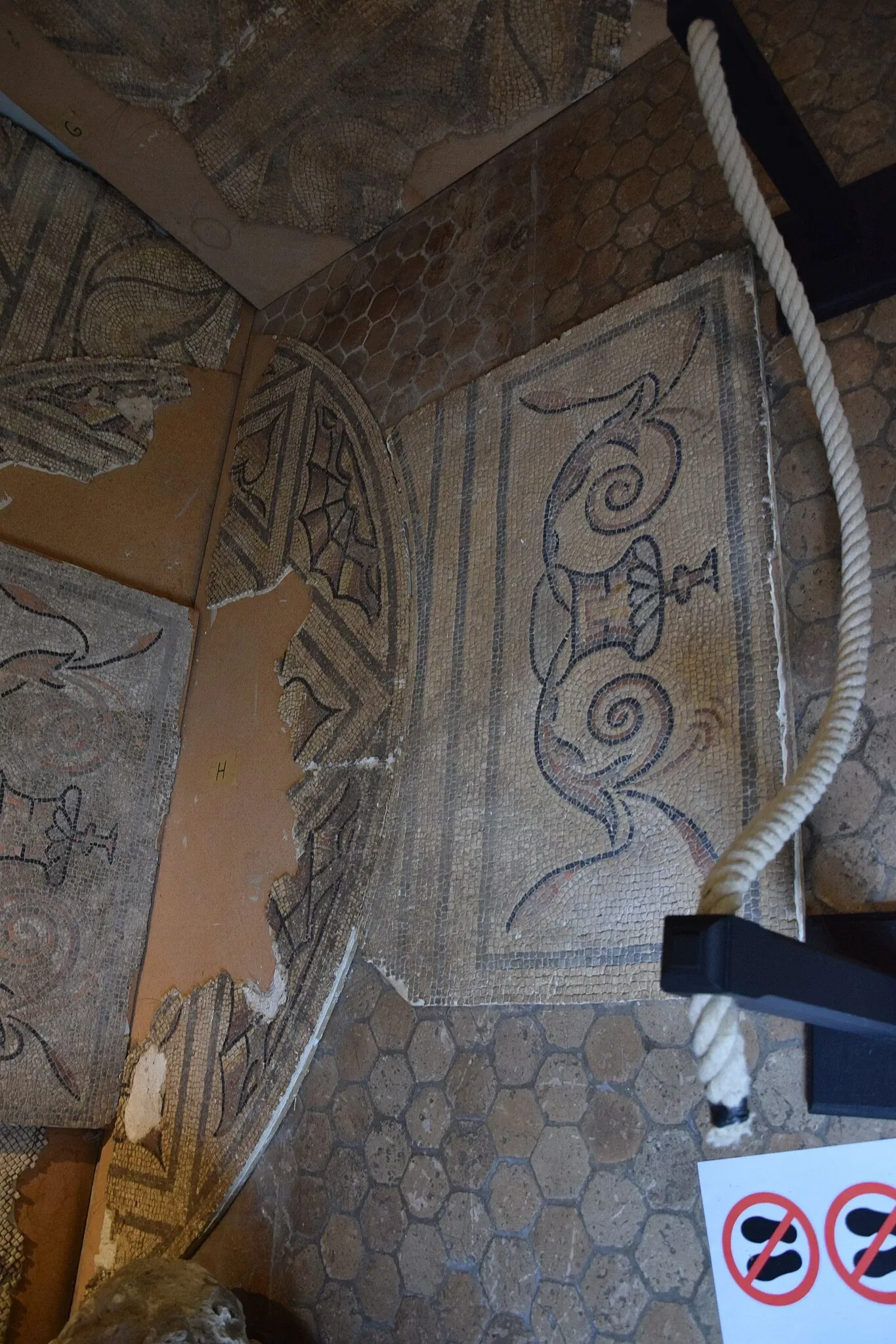 Musée Nicolas Poussin