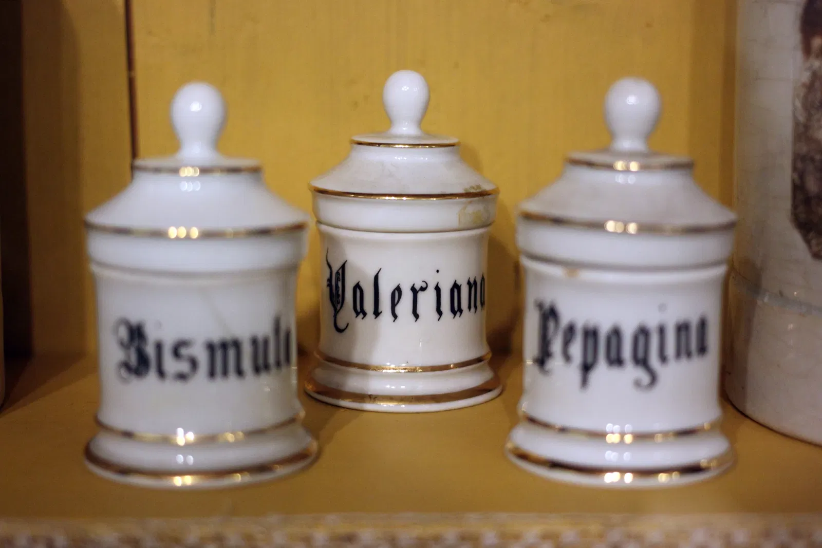 Museo Civico Etnografico Archeologico C.G. Fanchini