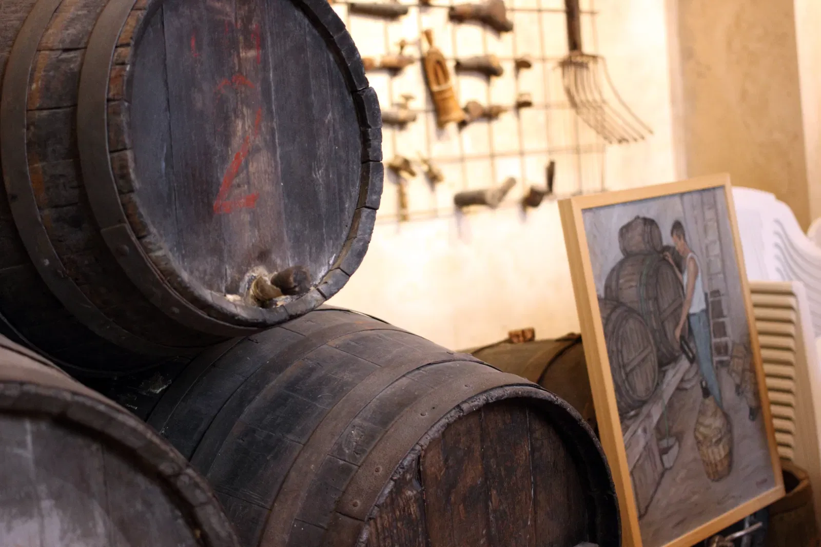 Museo Civico Etnografico Archeologico C.G. Fanchini