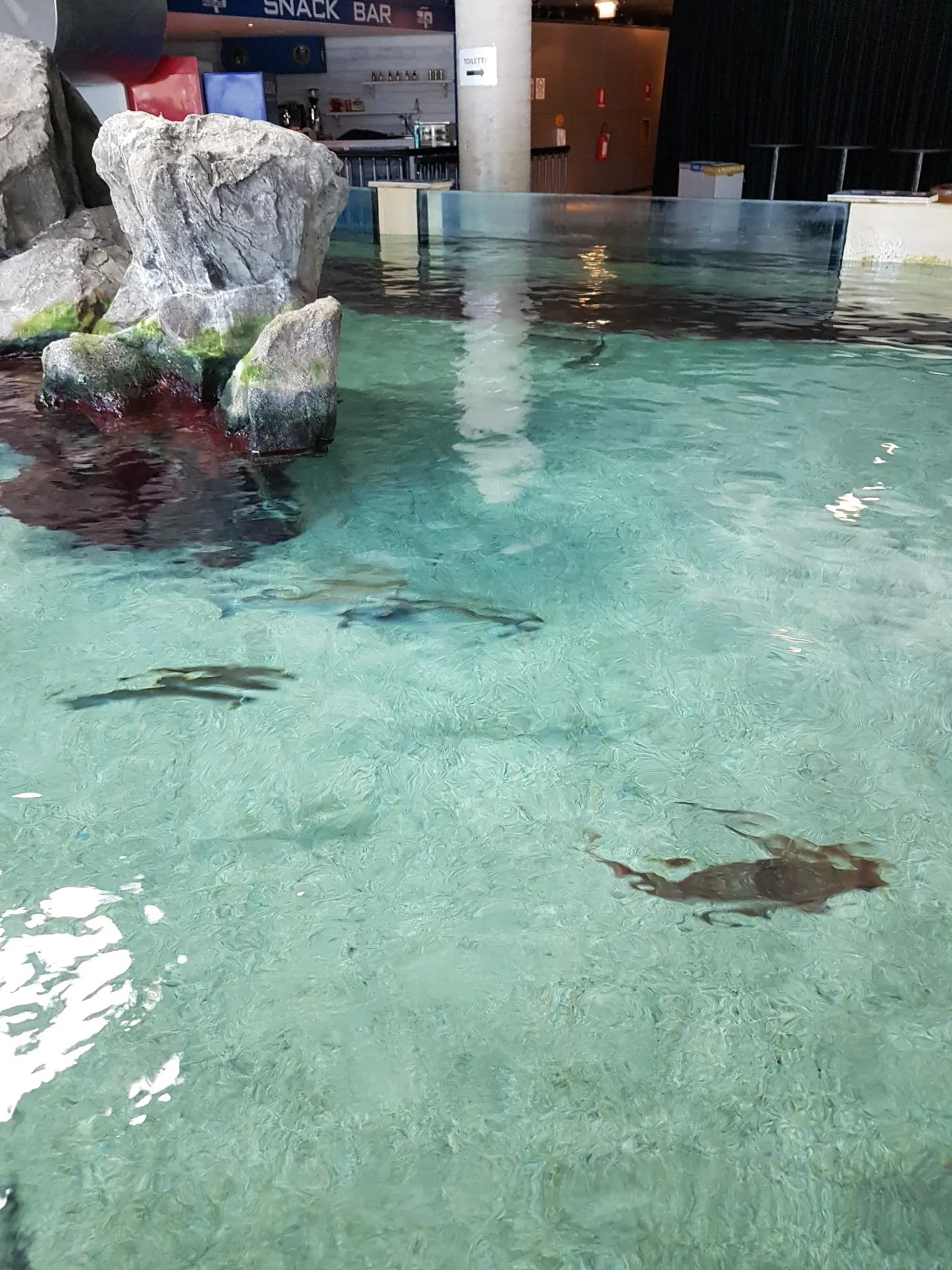 Acquario di Cattolica