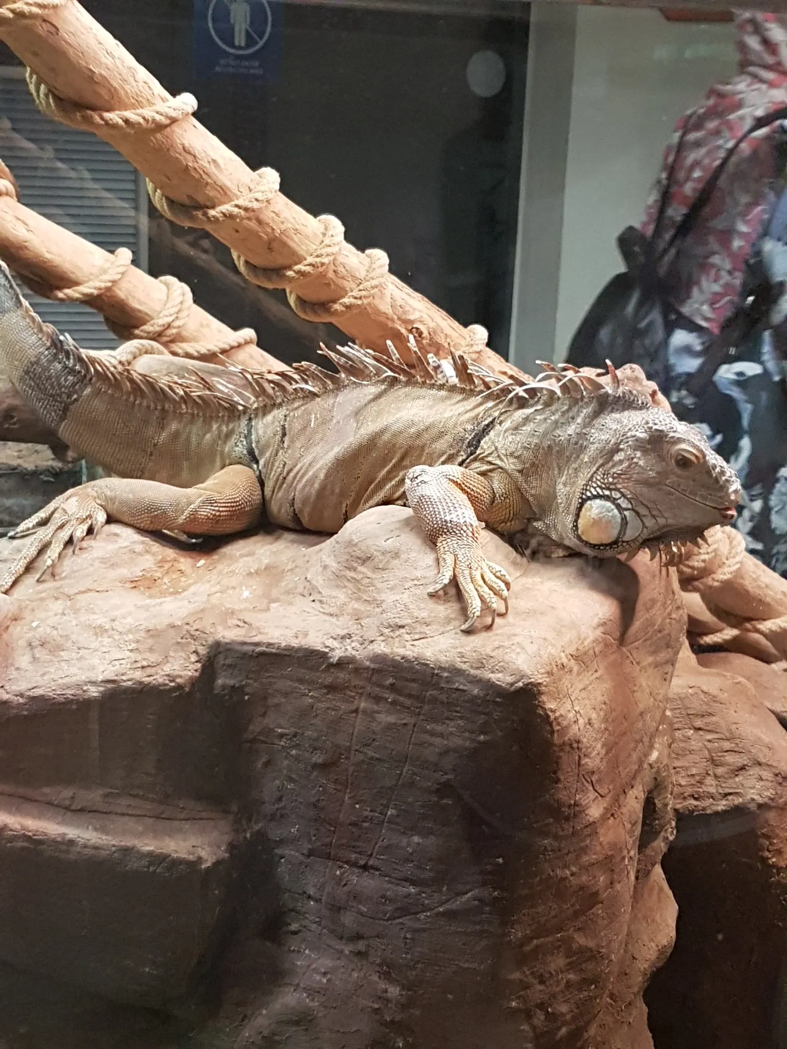 Acquario di Cattolica