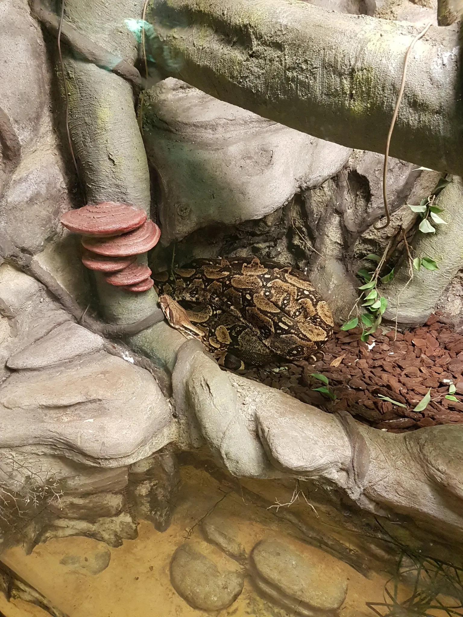 Aquarium of Cattolica