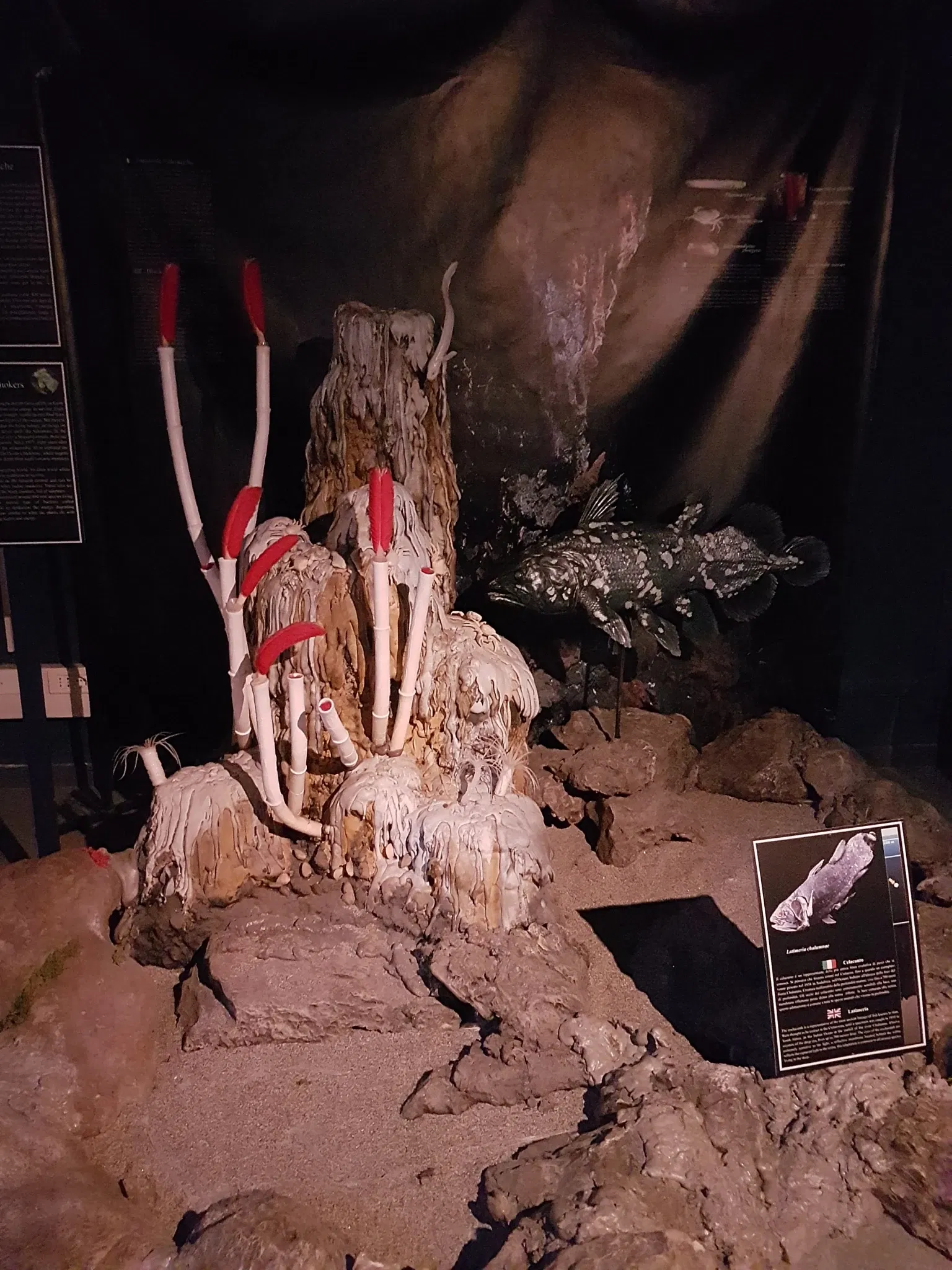 Acquario di Cattolica