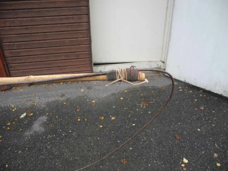 Västerbottens Museum