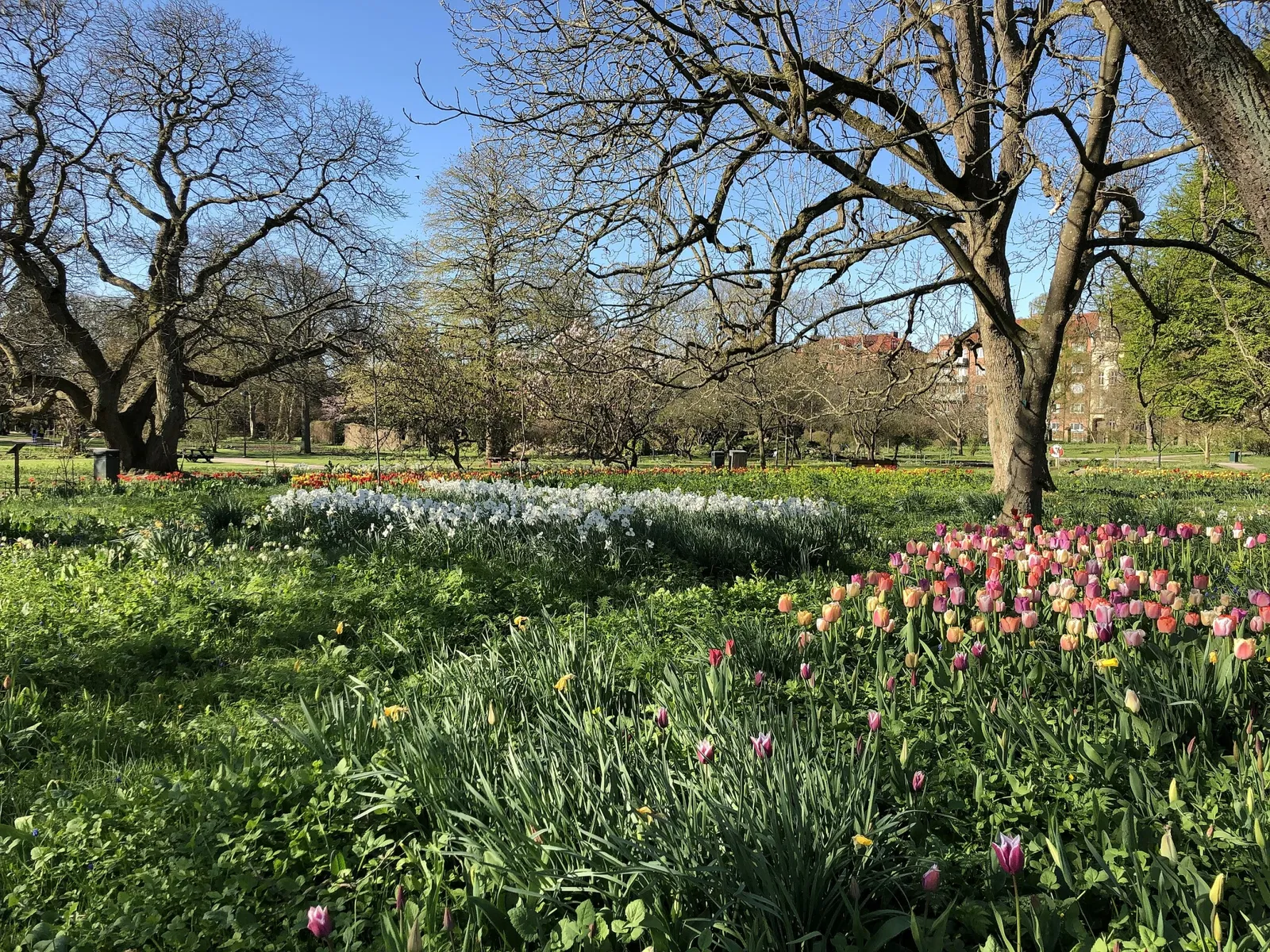 Botaniska trädgårdens