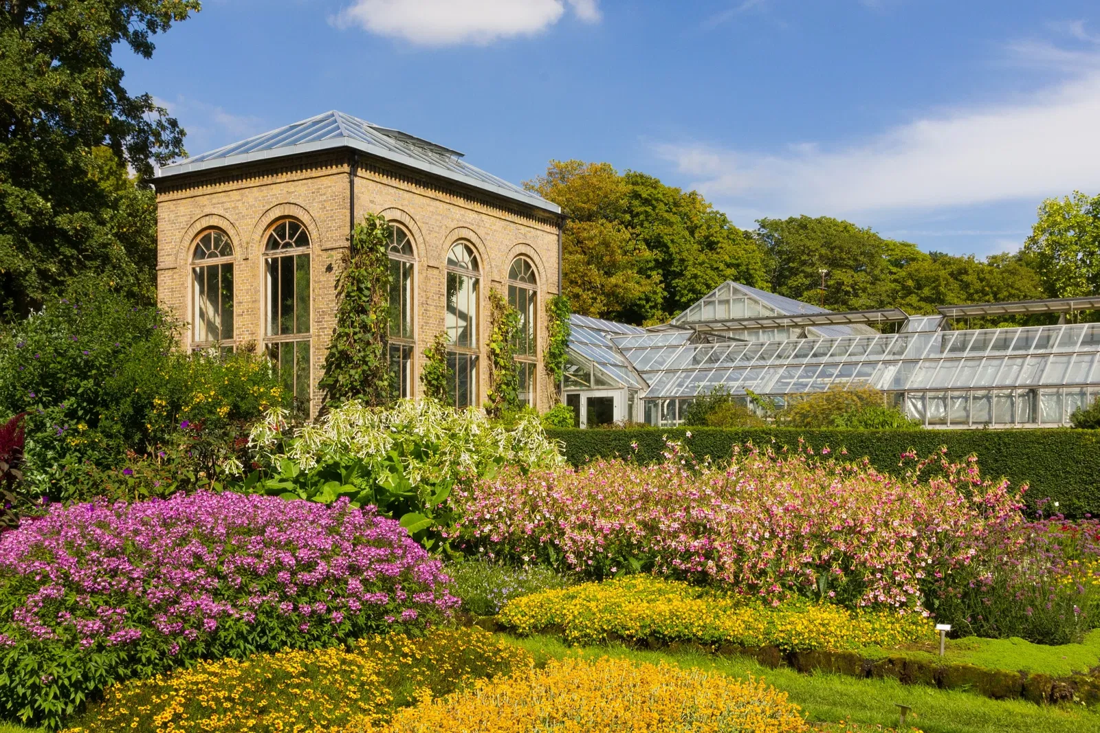 Botaniska trädgårdens