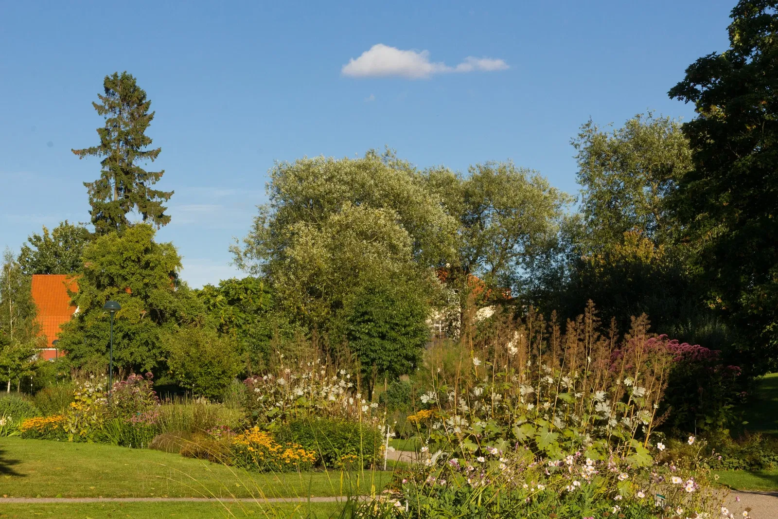 Botaniska trädgårdens