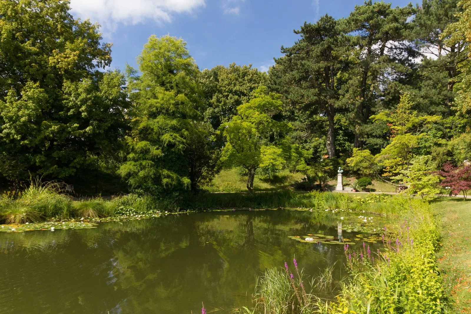 Botaniska trädgårdens