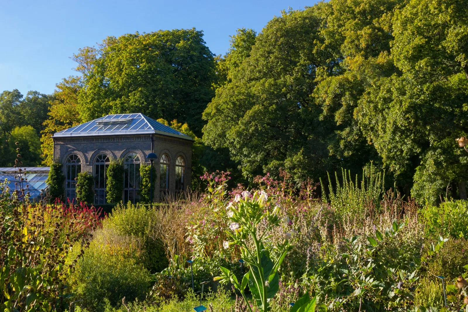 Botaniska trädgårdens
