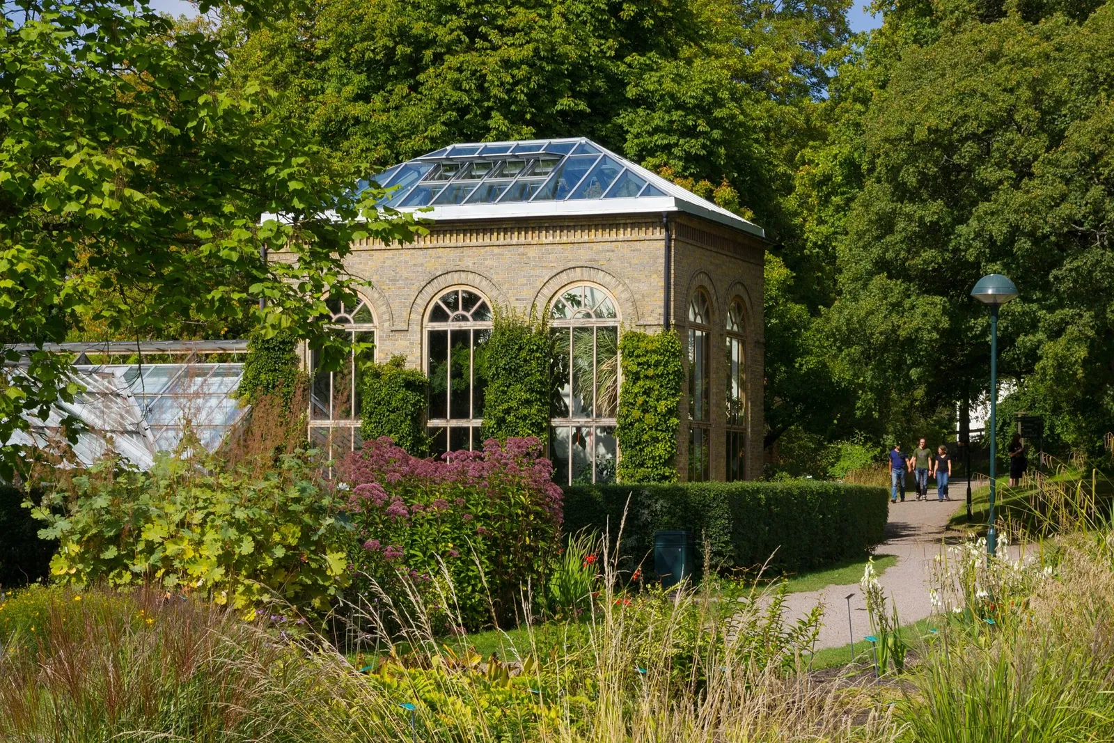 Botaniska trädgårdens