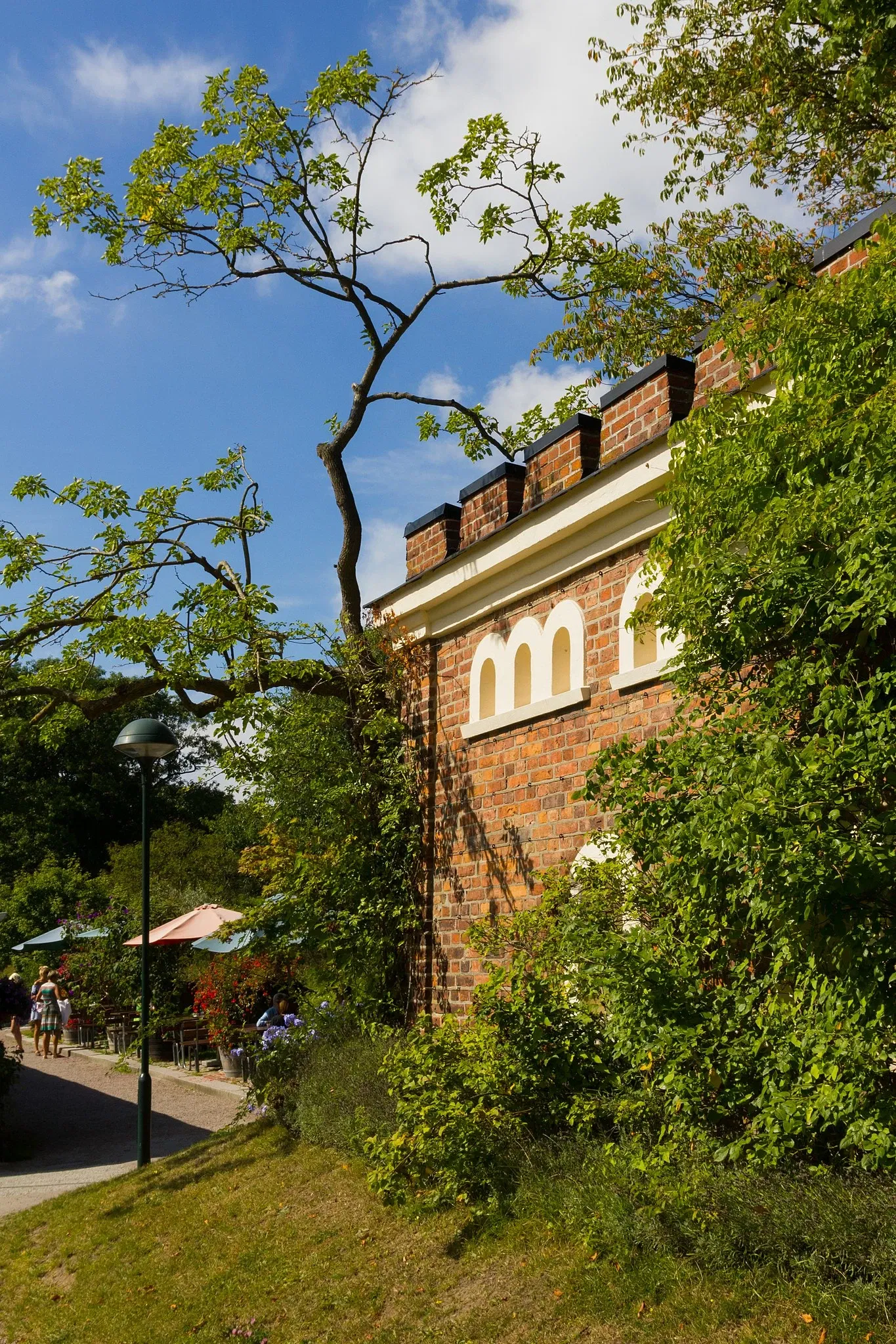 Botaniska trädgårdens