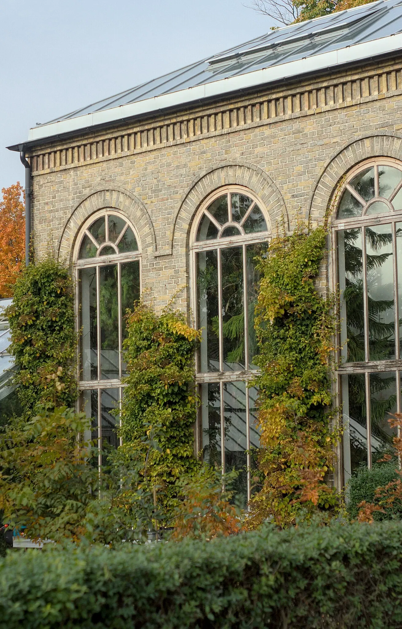 Botaniska trädgårdens