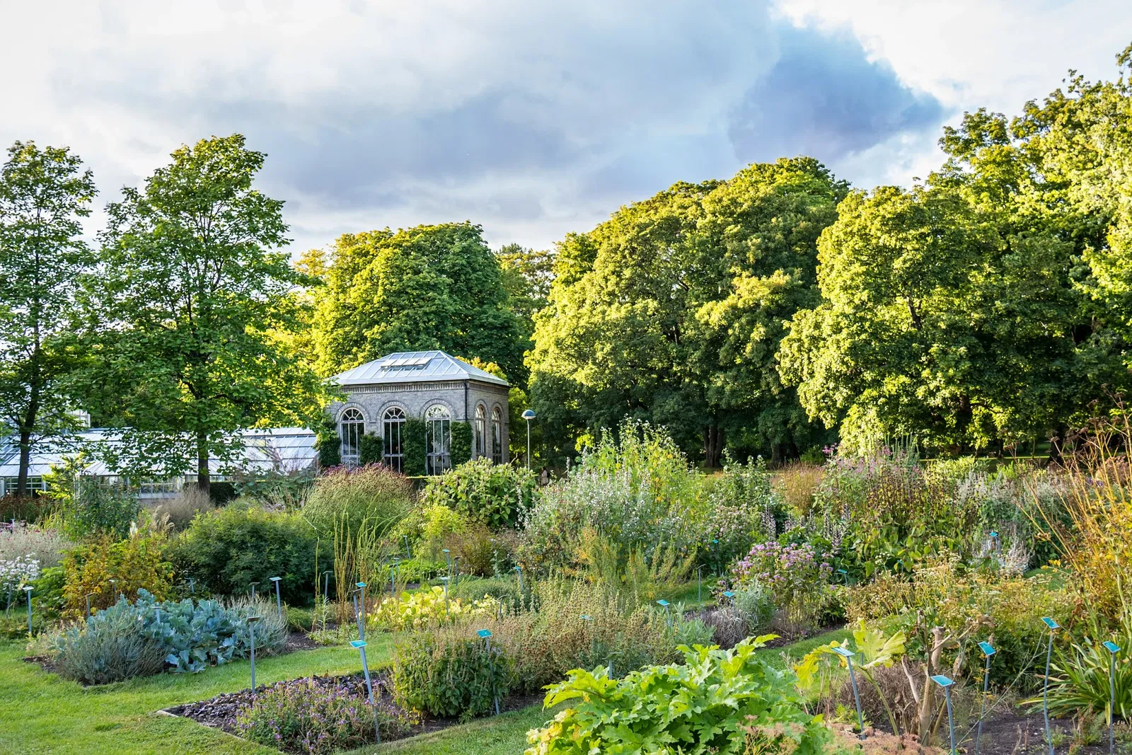 Botaniska trädgårdens