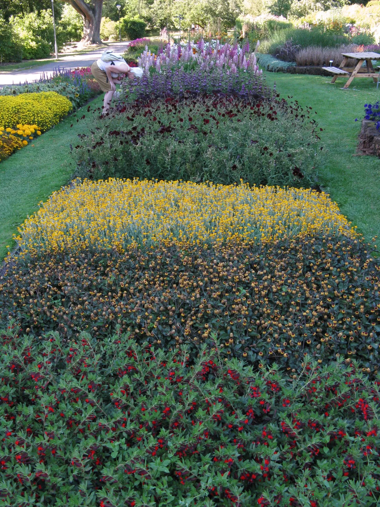 Botaniska trädgårdens