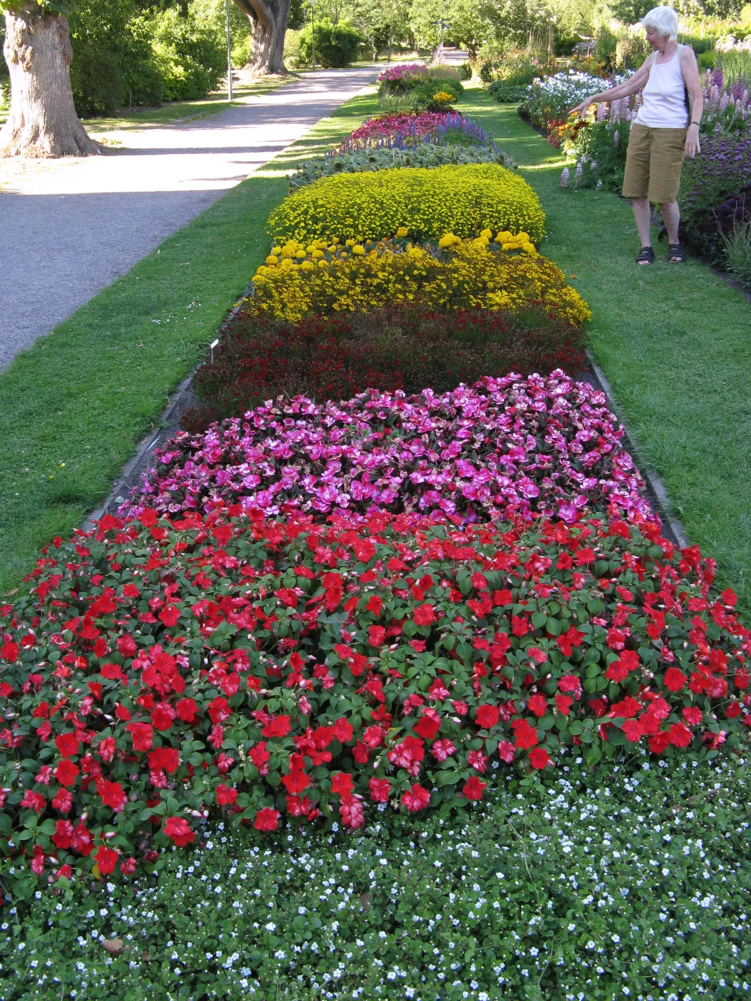 Botaniska trädgårdens