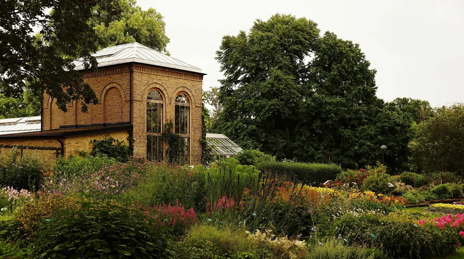 Botaniska trädgårdens